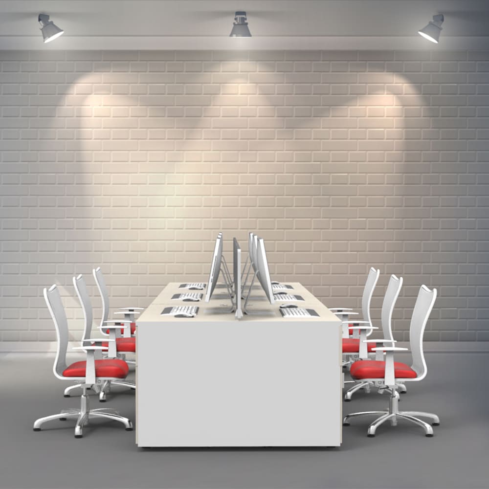 Puestos de Trabajo ECONOMY PLUS.