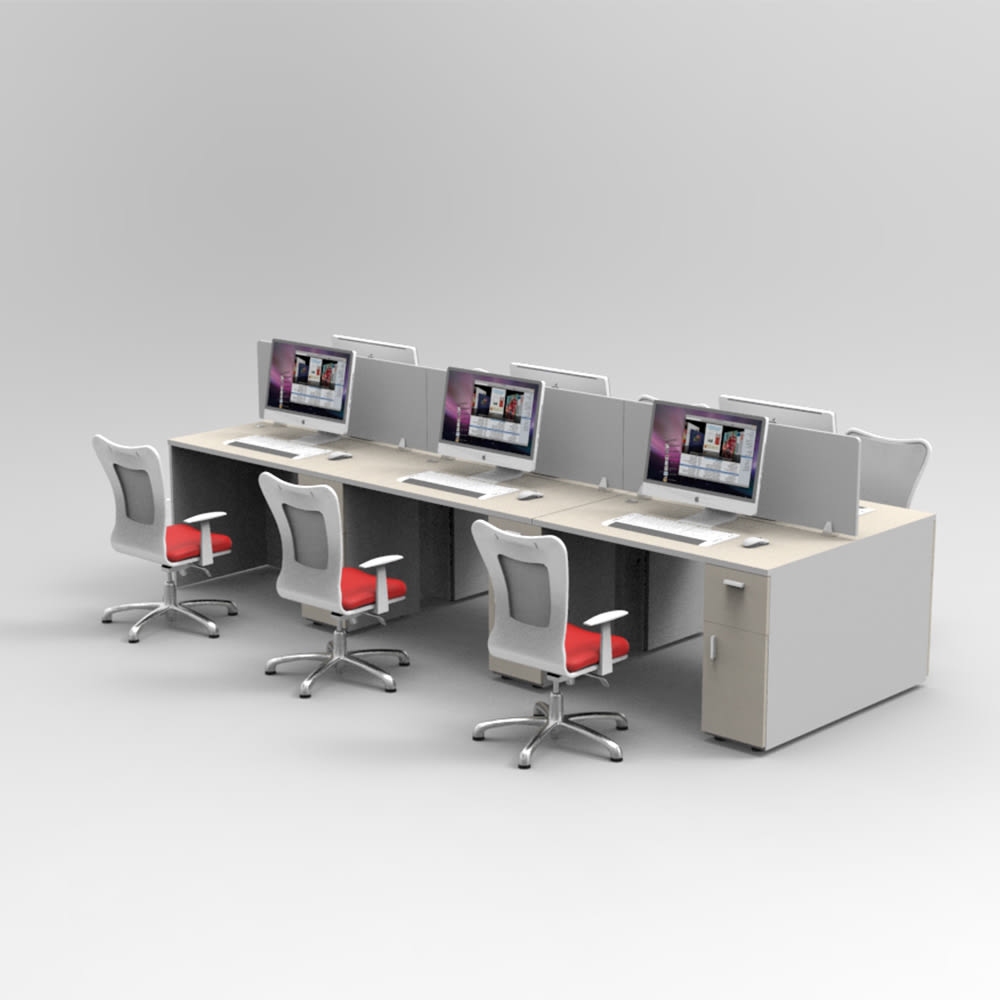 Puestos de Trabajo ECONOMY PLUS.