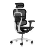 SILLA ERGONHUMAN MALLA